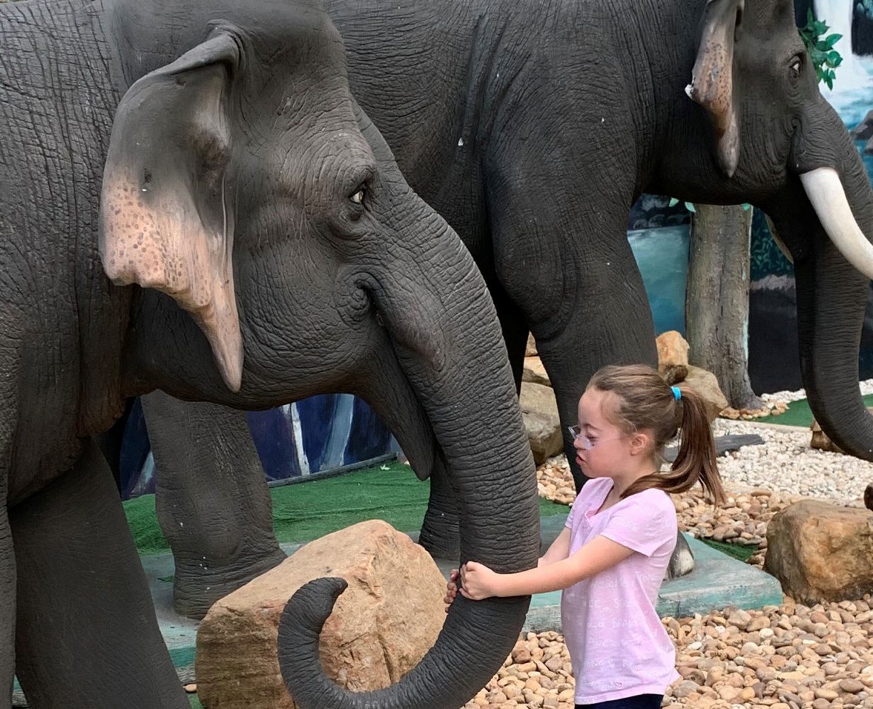 Girl with Down syndrome holds elephant's trunk