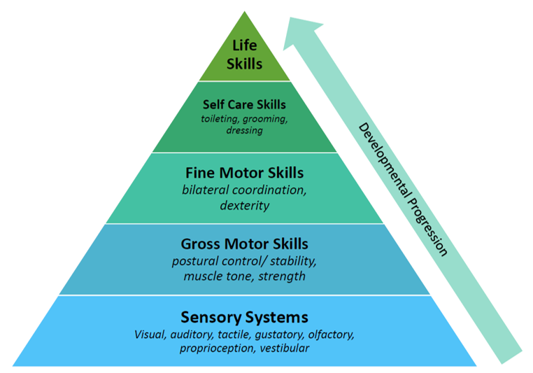 Skill Development Pyramid diagram. From Bottom to top: Sensory Systems, Gross Motor Skills, Fine Motor Skills, Self Care Skills, Life Skills